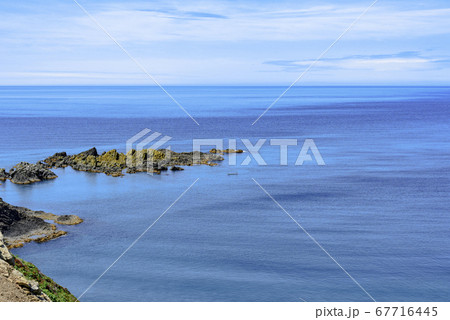 北海道　礼文島・稲穂岬 67716445