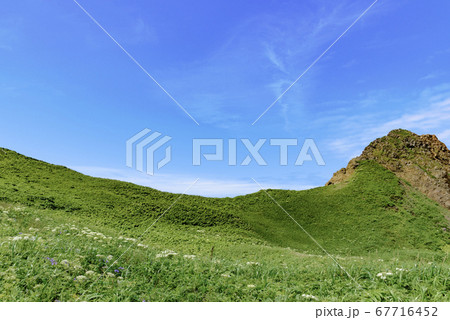 北海道　礼文島・稲穂岬 67716452