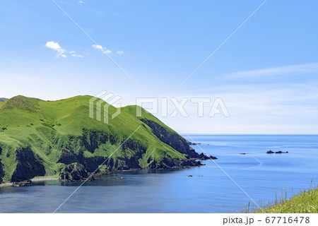 北海道 礼文島・稲穂岬 北海道 礼文島・稲穂岬 67716478