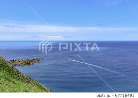 北海道 礼文島・稲穂岬 北海道 礼文島・稲穂岬 67716493