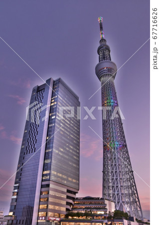 東京スカイツリー　夕暮れ 67716626