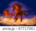 馬 67717061