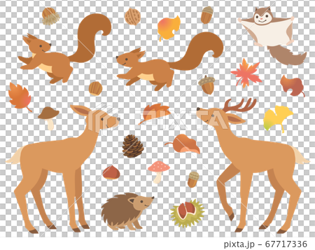 森の動物と秋のアイコンセット 67717336