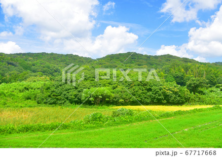 下関駅から徳山駅までの山陽本線車窓からの風景 下関駅から徳山駅までの山陽本線車窓からの風景 67717668