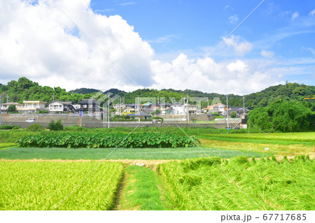 下関駅から徳山駅までの山陽本線車窓からの風景 下関駅から徳山駅までの山陽本線車窓からの風景 67717685