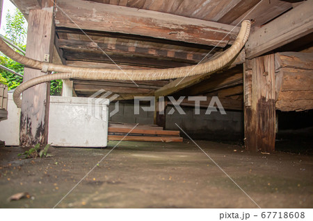 シロアリ被害を受けいてる古民家の床下 67718608