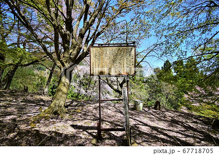 但馬　八木城跡　本丸案内板 67718705