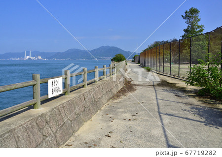 大久野島（うさぎ島）の風景と島へのフェリー航路 67719282