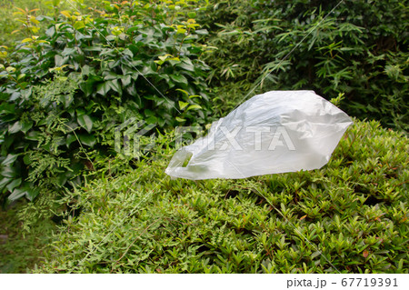 捨てられているレジ袋　　プラスチック問題で有料化になったレジ袋 67719391