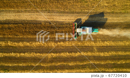Aerial view of wheat harvest. Drone shot flying over three combine harvesters working on wheat field. 67720410