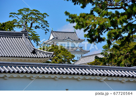 小田原城・二の丸の外壁越しに眺める小田原城天守閣(4)・桜の季節