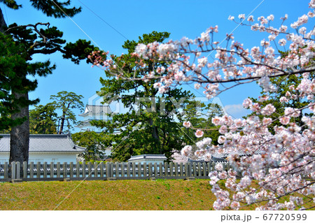 小田原城・馬出門付近、お城と桜のイメージ(4)・桜の季節・満開・神奈川 67720599