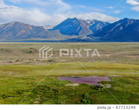 Cows cattle grazing on a mountain pasture next the Lake Crowley Cows cattle grazing on a mountain pasture next the Lake Crowley 67723299