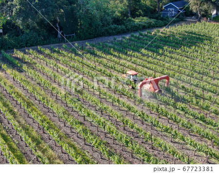 Farm tractor spraying pesticides and insecticides herbicides over green vineyard field. Farm tractor spraying pesticides and insecticides herbicides over green vineyard field. 67723381
