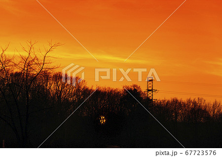 Sunset sky. Late orange sun with trees silhouettes Sunset sky. Late orange sun with trees silhouettes 67723576