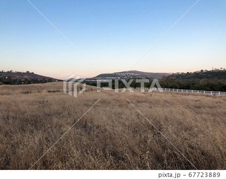 Dry grass and wheat field meadow during sunset. Dry grass and wheat field meadow during sunset. 67723889
