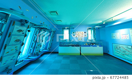 宮古島海中公園5 67724485