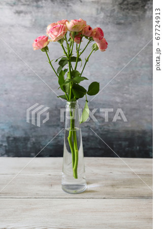 ガラス瓶にいけた薔薇 ガラス瓶にいけた薔薇 67724913