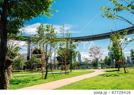 Ttukseom Hangang Park at summer in Seoul, korea Ttukseom Hangang Park at summer in Seoul, korea 67726416