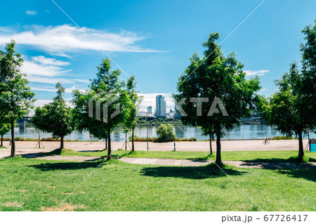 Ttukseom Hangang Park at summer in Seoul, korea Ttukseom Hangang Park at summer in Seoul, korea 67726417