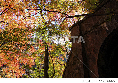 愛岐トンネル群の紅葉 67726885
