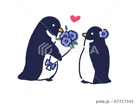 ペンギンのカップルのイラスト素材