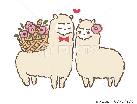 Alpaca Couple Stock Illustration