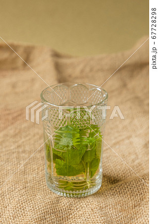 ミントティー North African drink mint tea ミントティー North African drink mint tea 67728298
