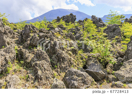 浅間山 鬼押出し園 溶岩 浅間山 鬼押出し園 溶岩 67728413