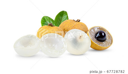 longan with leaf isolated on white background longan with leaf isolated on white background 67728782