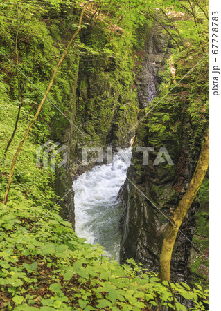 吾妻渓谷　群馬 67728783