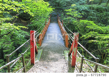 吾妻渓谷　鹿飛橋 67728790