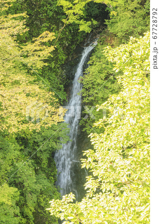 吾妻渓谷　群馬 67728792