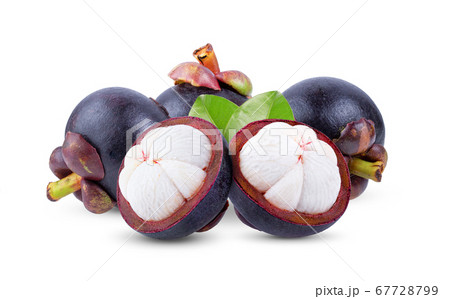 mangosteen on white background 67728799