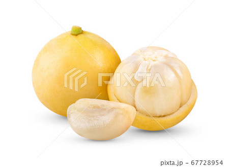 burmese grape(Baccaurea ramiflora) on white burmese grape(Baccaurea ramiflora) on white 67728954