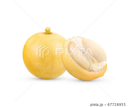 burmese grape(Baccaurea ramiflora) on white burmese grape(Baccaurea ramiflora) on white 67728955