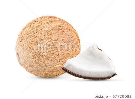 coconut on white background 67729082