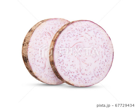 slice taro root on white background 67729434