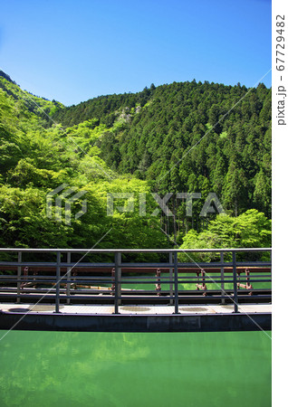 新緑の白丸ダム　ダムからエメラルドグリーンの白丸湖面の風景 67729482
