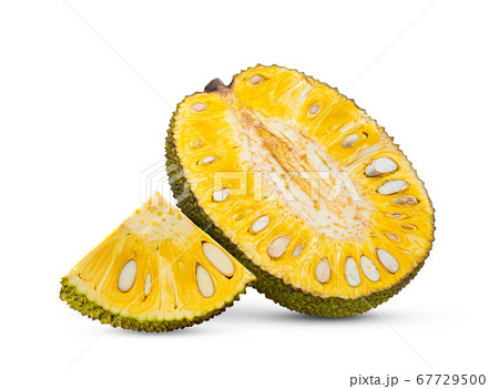 Jackfruit isolated on white background Jackfruit isolated on white background 67729500