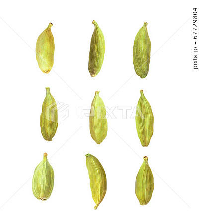 cardamom on white background cardamom on white background 67729804