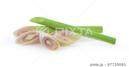 Lemongrass on a white background Lemongrass on a white background 67730083