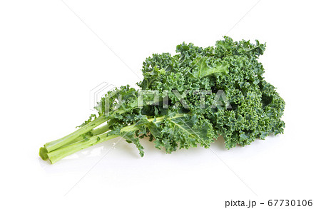kale leaves on white background full depth of kale leaves on white background full depth of 67730106
