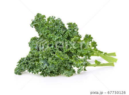 kale leaves isolated on white background 67730126