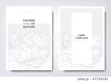 Floral invitation card template design, hand drawn prairie gentian flower 67730282
