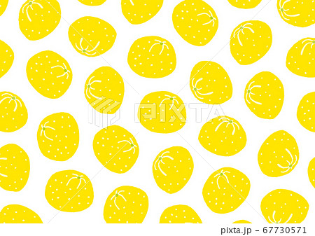 柚子　パターン 67730571