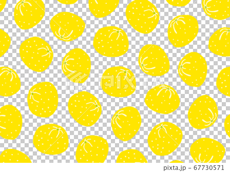 柚子　パターン 67730571
