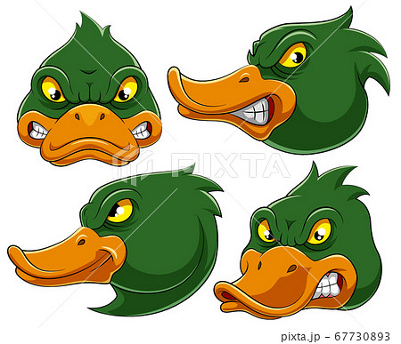 angry duck cartoon