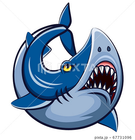 Cartoon White Shark Mascot Of Illustrationのイラスト素材
