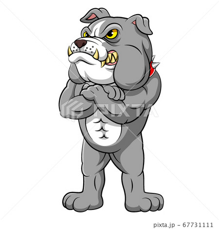 Strong Bulldog In Standing Pose Of Illustrationのイラスト素材